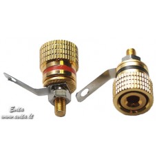 BANAN socket with screws gold-plated red