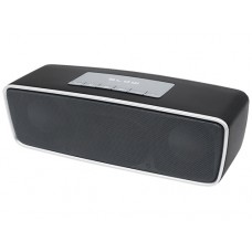 Bluetooth Speaker BT100 with MP3/FM
